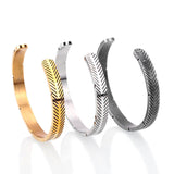 Premium Titanium Bangle